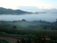 /album/fotogaleria/a408862-290006544437892-1056995491-n-1-jpg/